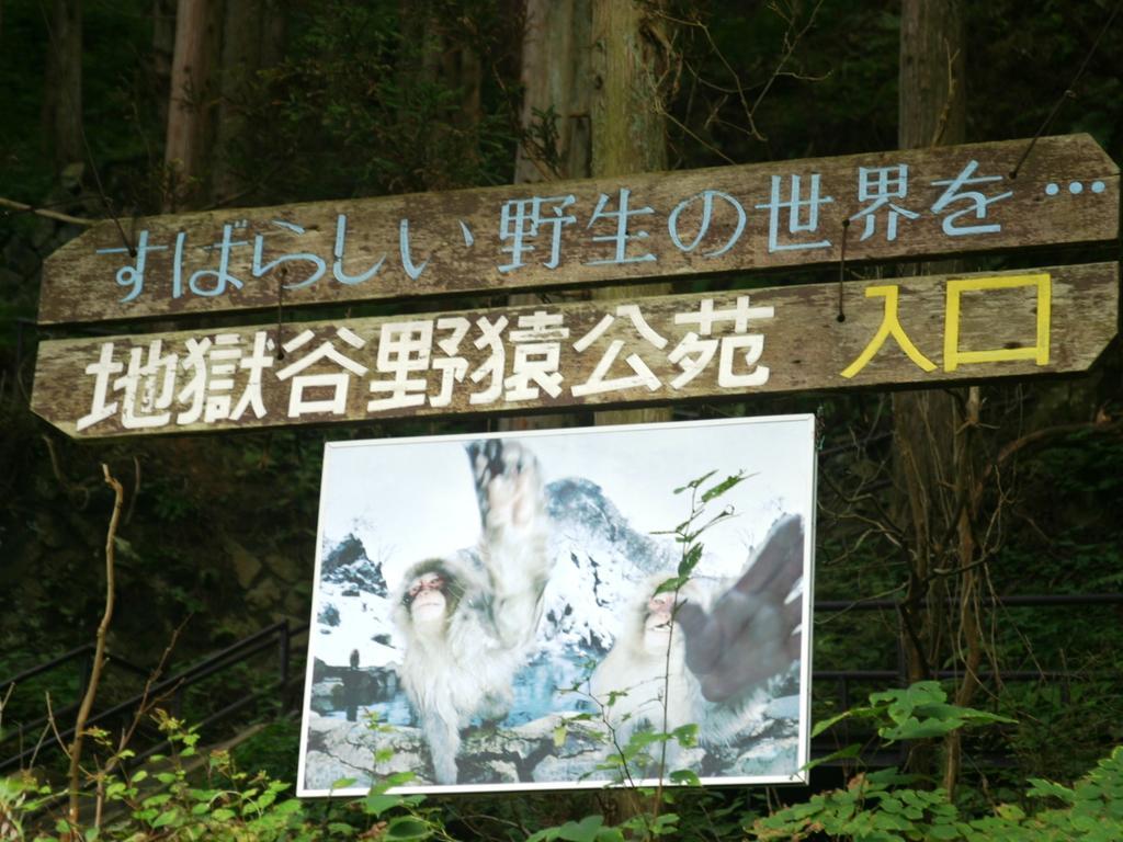 ホテルYoudaya 山ノ内町 エクステリア 写真
